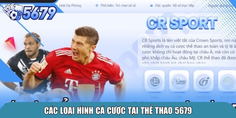 Các loại hình cá cược tại thể thao 5679